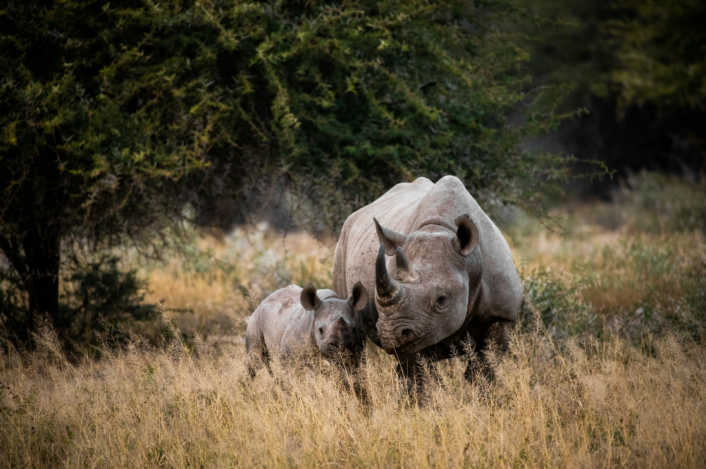 Photo by </figure src=